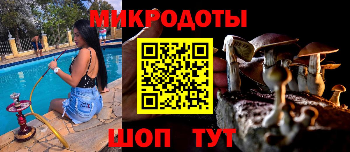 Галлюциногенные грибы Magic Shrooms Протвино