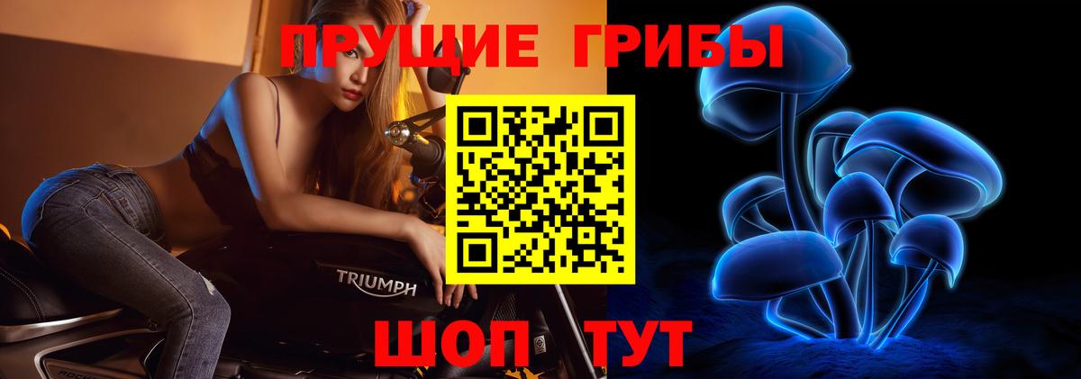 купить   Галлюциногенные грибы мицелий  Вход с VPN  Протвино 