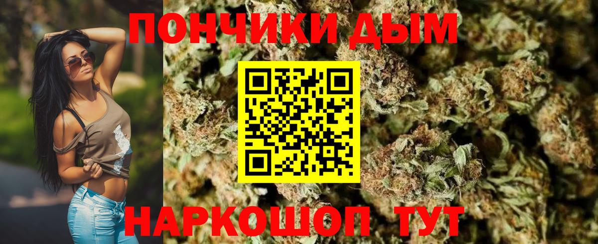 Бошки Шишки ГИДРОПОН Протвино